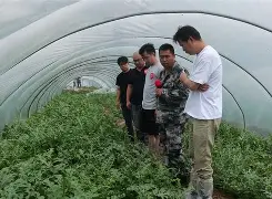 开云体育 -゛c?瓤賍O